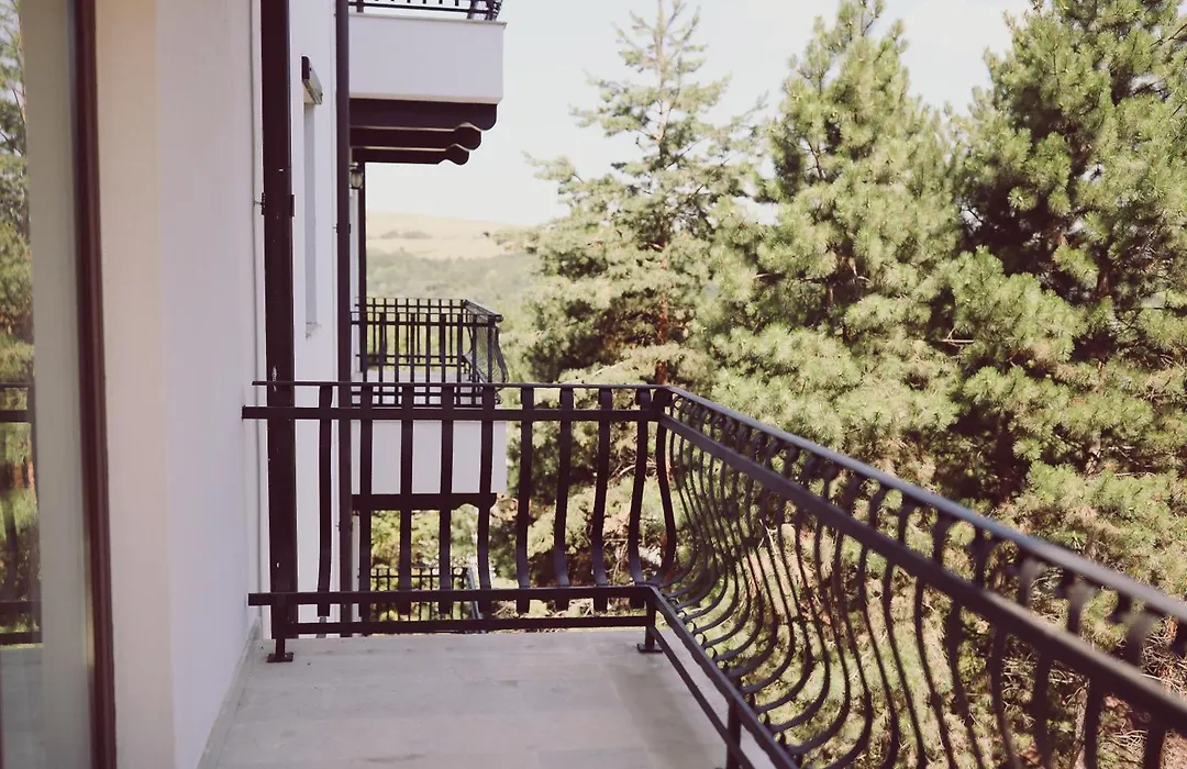 Hotel Helen-1
